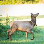 Patti DeVault Phillips - @patriciaphillips3719 - Instagram