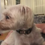 Patricia Devlin - @patricia.devlin.313 - Instagram