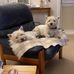 Patricia Devlin - Facebook