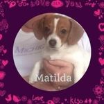 @patricia._dingman - Instagram