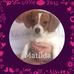 Patricia Dingman - Facebook