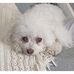 Patti Sadler-Dingman - Facebook