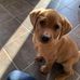 Patty Dingman - Facebook