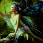 Patricia Dingus - Facebook