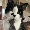 Patricia Driskell - @patriciadriskell0 - TikTok