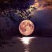 Patricia Duca - Facebook