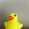 ~patricia~ - @patriciatheduckk - TikTok