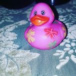 Patricia The Duck - @mamipatpat - Instagram