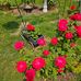 Patricia Duerr - Facebook