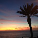 Pat Greaves - @patriciakgreaves - Instagram