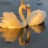 patriciaeberl4 - @patriciaeberl4 - TikTok