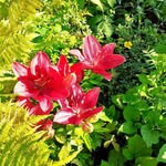 Patricia Eckert - @patricia.eckert.777 - Instagram