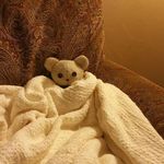Patricia Eckel - @peckels2 - Instagram