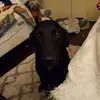 Patricia Kathleen Eckhoff - @patricia.kathleen46 - TikTok