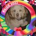 Patricia Eickhoff - Facebook