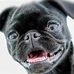 Patricia Embree - Facebook