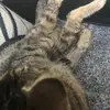 patriciaembree - @patriciaembree - TikTok