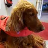 patriciahembree81 - @patriciahembree81 - TikTok