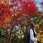 Patricia Eng - @patricia.zl.pastry - Instagram