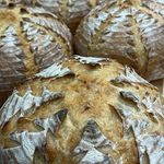 Patricia Engman - @sierrasourdough23 - Instagram