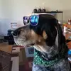 patrickensign - @patrickensign - TikTok