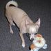 Patricia Eubanks - Facebook