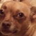 Patty Eubanks - Facebook