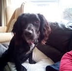 Pat Eves - Facebook