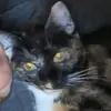 Patricia🌺 - @patricia.reeves92 - TikTok