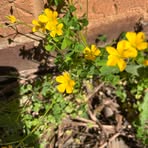 Patricia Falls - Facebook