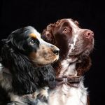Patricia Ann Faulkner - @patricia_faulkner1962 - Instagram