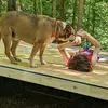 Patricia Faulkner - @patricia.faulkner4 - TikTok