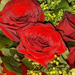 Patricia Feilds - Facebook