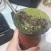 Top10_Patrícia Feil Leal - @patricia_feil - TikTok