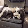 patriciafleet42 - @patriciafleet42 - TikTok