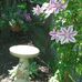 Pat Flickinger - Facebook