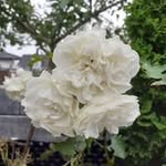 Patricia Bauernfreund - @patriciabauernfreund - Instagram