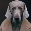 Patricia Freund - @patricia.freund5 - TikTok
