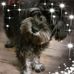 Patty Freund - Facebook