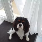Patricia Garde - @patricia.garde.1 - Instagram