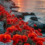 Patricia Gery - Facebook
