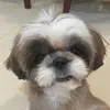 PatriciaCabello - @patriciacabellovfgery - TikTok