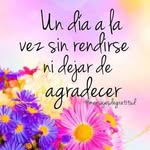 Patricia Giunta - @giunta709 - Instagram