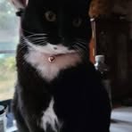 Patricia Glad - Facebook