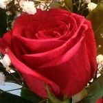 Patricia Tinker-Greaves - @pgreaves73 - Instagram
