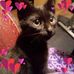 Patricia Gregson - Facebook