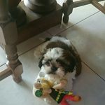 Patricia Grenier - @gre_3934 - Instagram