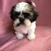 Patricia Grenier - @user424362196074 - TikTok