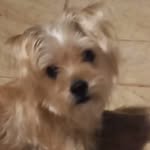 Patricia Patou - @patricia.grenier.589 - Instagram