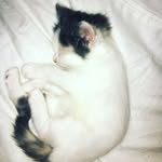 Patricia Gresham - @xoxo._patricia._xoxo - Instagram